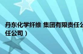 丹东化学纤维 集团有限责任公司地址（丹东化学纤维 集团有限责任公司）