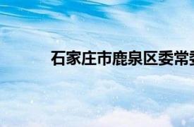 石家庄市鹿泉区委常委、政府常务副区长邱震