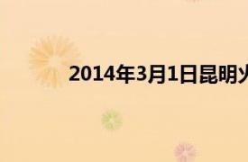 2014年3月1日昆明火车站暴力恐怖袭击事件