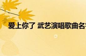 爱上你了 武艺演唱歌曲名字（爱上你了 武艺演唱歌曲）