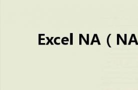 Excel NA（NA EXCEL函数名称）