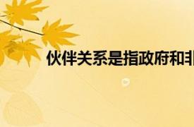 伙伴关系是指政府和非政府的市场（伙伴关系）