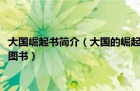 大国崛起书简介（大国的崛起 2010年陕西师范大学出版社出版的图书）