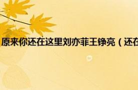 原来你还在这里刘亦菲王铮亮（还在这里 刘亦菲、王铮亮演唱电影主题曲）