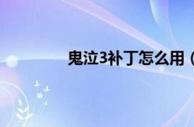 鬼泣3补丁怎么用（鬼泣3特别版修改器）