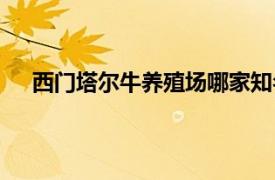 西门塔尔牛养殖场哪家知名度高（西门塔尔牛养殖场）