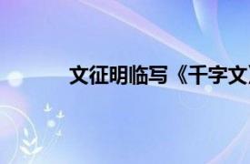 文征明临写《千字文》的翻译（文徵明习字）