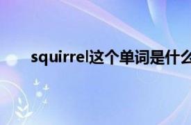 squirrel这个单词是什么意思（squirrel 英文单词）