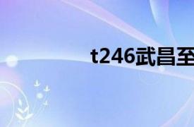 t246武昌至西安（T246）