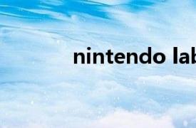 nintendo labo左脚没有反应