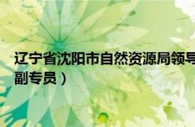 辽宁省沈阳市自然资源局领导（孙建宏 国家自然资源督察沈阳局副专员）