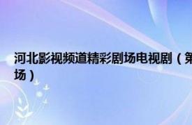 河北影视频道精彩剧场电视剧（第一剧场 河北广播电视台经济频道电视剧场）