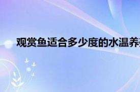 观赏鱼适合多少度的水温养殖（观赏鱼适合多少度的水温）