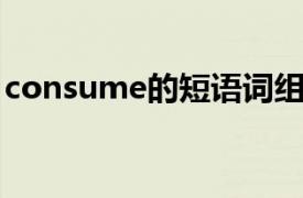 consume的短语词组（consume 英语单词）