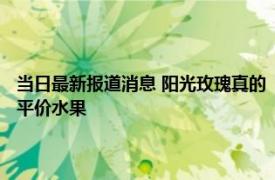 当日最新报道消息 阳光玫瑰真的“价格崩盘”了吗 “水果界的爱马仕”成平价水果