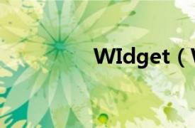 WIdget（Widget营销）