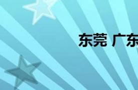 东莞 广东省辖地级市