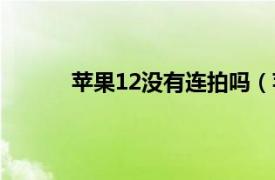 苹果12没有连拍吗（苹果12怎么没有连拍了）