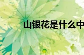 山银花是什么中药（山银花 中药）