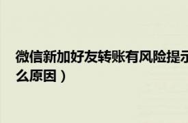 微信新加好友转账有风险提示（微信新加好友转账存在风险是什么原因）