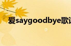 爱saygoodbye歌词（爱SayGoodbye）