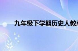 九年级下学期历史人教版（九年级历史 下人教版）