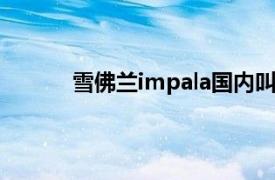 雪佛兰impala国内叫什么（雪佛兰IMPALA）