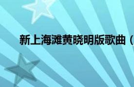 新上海滩黄晓明版歌曲（上海滩 黄晓明翻唱的歌曲）