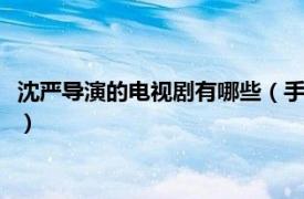 沈严导演的电视剧有哪些（手机 2010年沈严、王雷执导的电视剧）