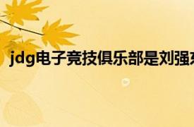 jdg电子竞技俱乐部是刘强东的吗（JDG电子竞技俱乐部）