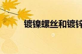 镀镍螺丝和镀锌螺丝（镀镍螺丝）