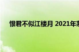 恨君不似江楼月 2021年茅子俊、易柏辰主演的电视剧