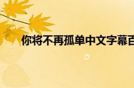 你将不再孤单中文字幕百度云资源（你将不再孤单）