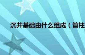 沉井基础由什么组成（管柱基础和沉井基础的区别是什么）