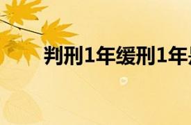 判刑1年缓刑1年是什么意思（判刑）