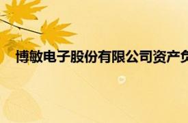 博敏电子股份有限公司资产负债表（博敏电子股份有限公司）