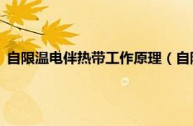 自限温电伴热带工作原理（自限温电伴热带 带状恒温电加热器）