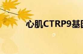 心肌CTRP9基因的转录调控机制