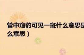 管中窥豹可见一斑什么意思是什么（管中窥豹时见一斑中的时什么意思）