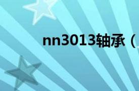 nn3013轴承（NTN 2220轴承）