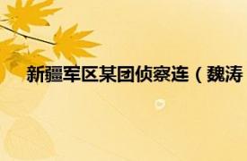 新疆军区某团侦察连（魏涛 新疆军区某步兵师侦察营班长）