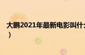 大鹏2021年最新电影叫什么（热烈 2022年大鹏执导的电影）