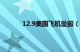 12.9美国飞机坠毁（128美国飞机坠毁事件）