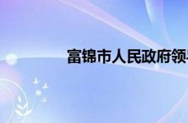 富锦市人民政府领导（富锦市人民政府）