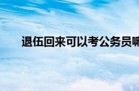 退伍回来可以考公务员嘛（退伍出来能考公务员吗）