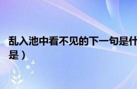 乱入池中看不见的下一句是什么?（乱入池中看不见的下一句作者是）