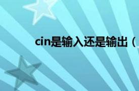 cin是输入还是输出（cin C   中的标准输入流）