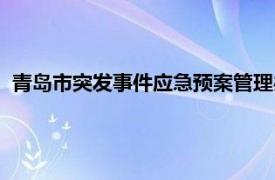 青岛市突发事件应急预案管理办法（青岛市突发事件应对条例）