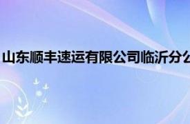 山东顺丰速运有限公司临沂分公司经理（山东顺丰速运有限公司）