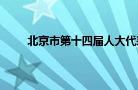 北京市第十四届人大代表（北京市人民代表大会）